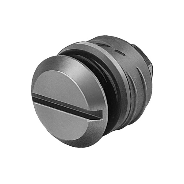 Blanking Plug PRSV-1/8